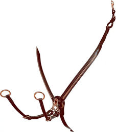 Produktbild von Equestro Lederjägerhalsband für Pferde in Braun