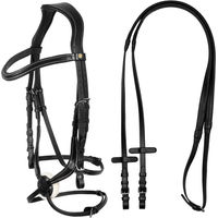Produktbild von Equestro Lederreitzaum für Vollblut in Schwarz