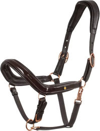 Produktbild von Equestro Lederzügel für Pferde in Full aus poliertem Leder in Braun oder Schwarz