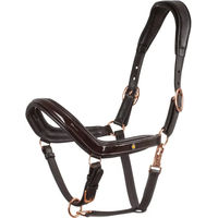 Produktbild von Equestro Lederzügel für Pferde in Full aus poliertem Leder in Braun oder Schwarz