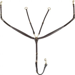 Equestro New Pferdebrustgeschirr aus Leder für Ponys in Braun und Gold – Bild 1 von 1