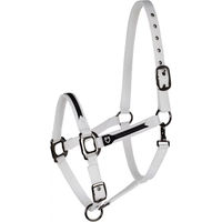 Produktbild von Equestro Nylon Halfter und Führleine für Pferde in Schwarz oder Weiß