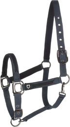 Produktbild von Equestro Nylon Halfter und Führleine für Pferde in Schwarz und Blau