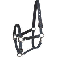 Produktbild von Equestro Nylon Halfter und Führleine für Pferde in Schwarz und Blau