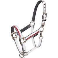 Produktbild von Equestro Nylon Halfter und Führleine für Pferde in Weiß