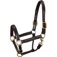 Produktbild von Equestro Oberes Lederhalfter für Pferde in Braun oder Schwarz