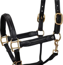 Produktbild von Equestro Oberes Lederhalfter für Pferde in Schwarz