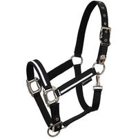 Produktbild von Equestro Pferdehalfter aus Nylon für Ponys in Schwarz mit weißer Paspelierung