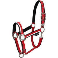 Produktbild von Equestro Pferdehalfter aus Nylon für Ponys in Weiß mit rotem Rand