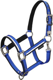 Equestro Pferdehalfter aus Nylon in Blau mit weißem Rand für Vollblut – Bild 1 von 6
