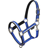 Produktbild von Equestro Pferdehalfter aus Nylon in Blau mit weißem Rand für Vollblut
