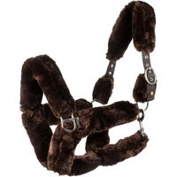 Produktbild von Equestro Pferdehalfter aus Nylon in Braun für Vollblut