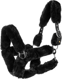 Produktbild von Equestro Pferdehalfter aus Nylon in Schwarz für Vollblut