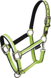 Produktbild von Equestro Pferdehalfter aus Nylon in Weiß mit Grün