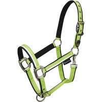 Produktbild von Equestro Pferdehalfter aus Nylon in Weiß mit grünem Rand Größe M