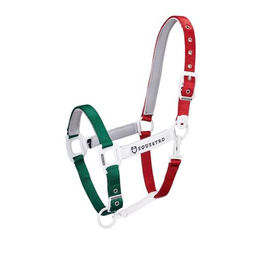Equestro Pferdehalfter Flaggy Full in Grün Weiß Rot – Bild 1 von 6