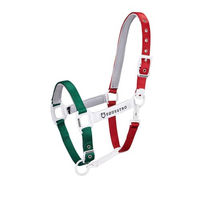Produktbild von Equestro Pferdehalfter Flaggy Full in Grün Weiß Rot