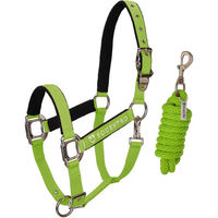 Produktbild von Equestro Pferdehalfter Modello Shiny Fittings aus Nylon in Grün für Vollblut