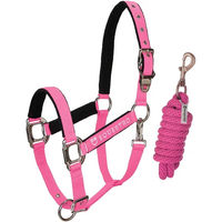 Produktbild von Equestro Pferdehalfter Modello Shiny Fittings aus Nylon in Rosa
