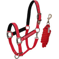 Produktbild von Equestro Pferdehalfter Modello Shiny Fittings aus Nylon in Rot