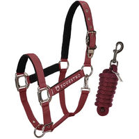 Produktbild von Equestro Pferdehalfter Modello Shiny Fittings aus Nylon in Rot für Vollblut