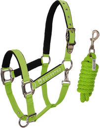 Produktbild von Equestro Pferdehalfter Pony aus Nylon mit Shiny Fittings in Grün