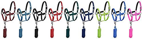 Equestro Pferdehalfter Shiny Fittings aus Nylon in Rot für Vollblut – Bild 1 von 3