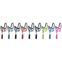 Produktbild von Equestro Pferdehalfter Shiny Fittings aus Nylon in Rot für Vollblut
