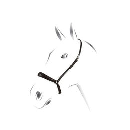 Produktbild von Equestro Pony Halfter Schwarz