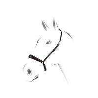 Produktbild von Equestro Pony Halfter Schwarz