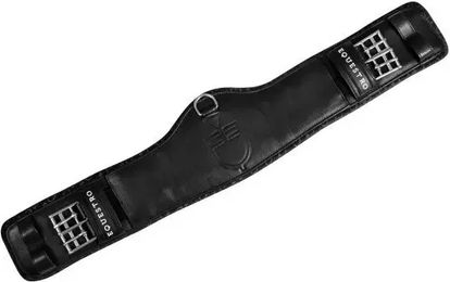 Produktbild von Equestro Profilierter Reitgurt aus Leder in Schwarz