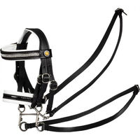 Produktbild von Equestro Zaum für Hobby Horse