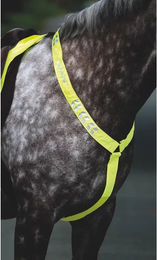 Equi-Flector Jagdhalsband für Pferde von EQUI – Bild 1 von 1