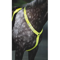 Produktbild von Equi-Flector Jagdhalsband für Pferde von EQUI