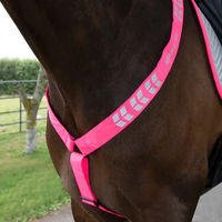 Produktbild von Equi-Flector Jagdhalsband für Pferde von EQUI
