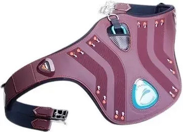 Produktbild von eQuick eDiamond Sattelgurt für Pferde in Braun
