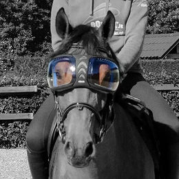 eQuick eVysor Ersatzgläser für Pferdebrille in Blau und Orange – Bild 1 von 1