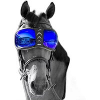 Produktbild von eQuick eVysor Ersatzgläser für Pferdebrillen in Blau und Orange