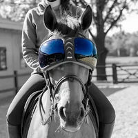 Produktbild von eQuick eVysor Ersatzgläser Kit für Pferdebrillen in Blau und Orange