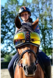 eQuick eVysor Pferdebrille – Bild 1 von 2