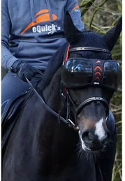 eQuick eVysor Schutzbrille für Pferde mit dunklen Gläsern in Schwarz – Bild 1 von 5