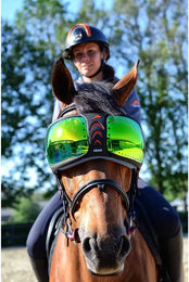 eQuick eVysor Schutzbrille für Pferde mit Mirrored Green Gläsern – Bild 1 von 2