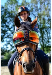 eQuick eVysor Schutzbrille für Pferde Rainbow – Bild 1 von 11