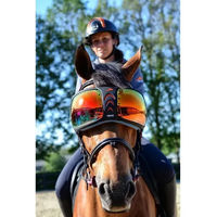 Produktbild von eQuick eVysor Schutzbrille für Pferde Rainbow
