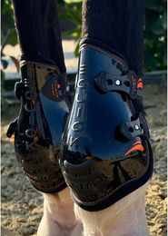 eQuick Triumph Streichkappen – Bild 1 von 1