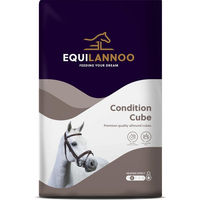 Produktbild von Equilannoo Condition Cube Kraftfutter für Pferde 20 kg