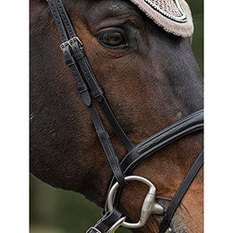 Equiline 2er-Set Flachpfosten für Pferde – Bild 1 von 1