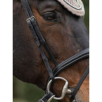 Produktbild von Equiline 2er-Set Flachpfosten für Pferde