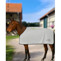 Produktbild von Equiline Abschwitzdecke Ekire Ice Grau
