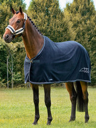 Produktbild von Equiline Abschwitzdecke Pferd Navy Blau